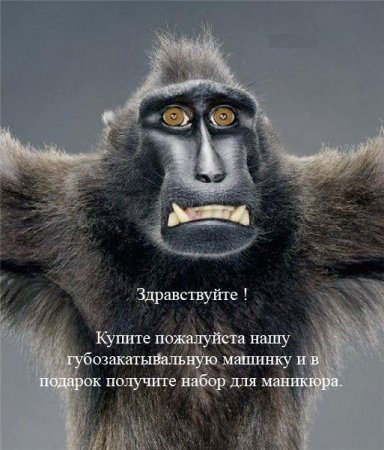 1188462484_25.jpg