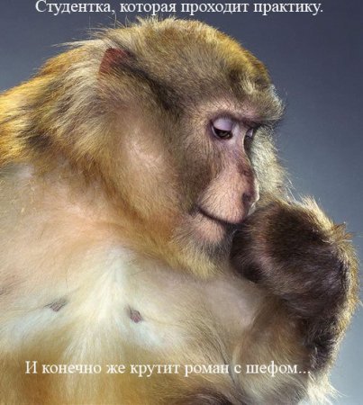 1188462484_5.jpg