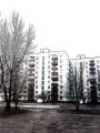 DSC00917.JPG
