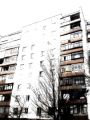 DSC00918.JPG