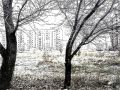 DSC00919.JPG