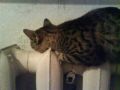 DSC01126.JPG