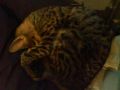 DSC01150.JPG