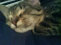 DSC01151.JPG