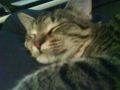 DSC01152.JPG