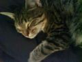 DSC01153.JPG