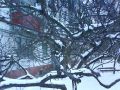 DSC01174.JPG