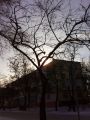 DSC01220.JPG