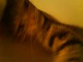 DSC01278.JPG
