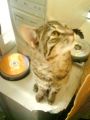 Dsc01398.jpg