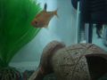 DSC02649_1.jpg
