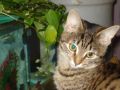 DSC02665_1.jpg