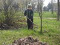 Общегородской субботник