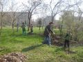 Общегородской субботник