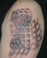 tatu14.jpg