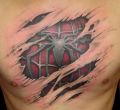 tatu2.jpg
