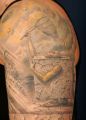 tatu4.jpg
