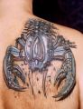 tatu6.jpg