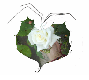 hart+rose.png